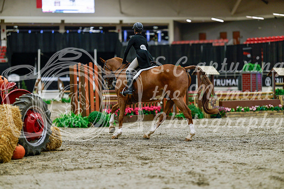 2025 - Haylee - Royal West - Tuesday October 21st - 04287