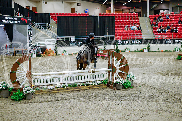 2025 - Haylee - Royal West - Tuesday October 21st - 08964