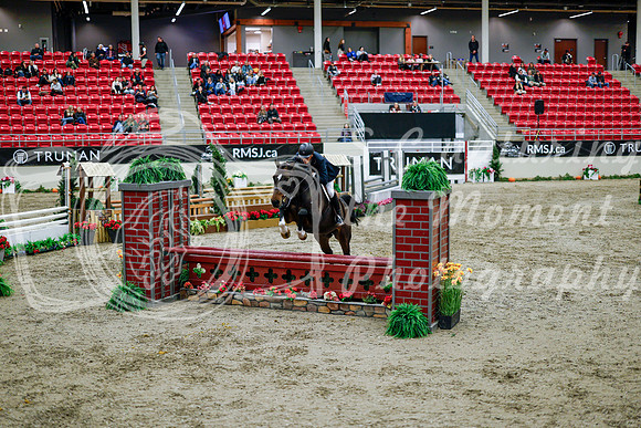 2025 - Haylee - Royal West - Tuesday October 21st - 08783