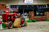 2025 - Haylee - Royal West - Tuesday October 21st - 04336