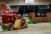 2025 - Haylee - Royal West - Tuesday October 21st - 04337
