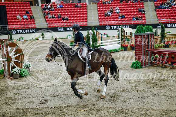 2025 - Haylee - Royal West - Tuesday October 21st - 09255