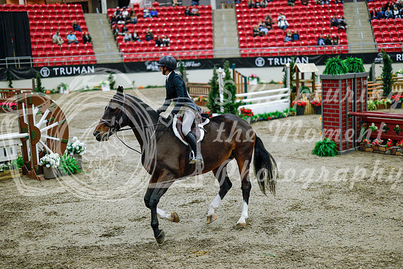 2025 - Haylee - Royal West - Tuesday October 21st - 09257