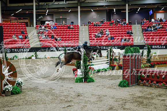 2025 - Haylee - Royal West - Tuesday October 21st - 09264