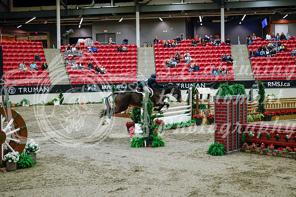 2025 - Haylee - Royal West - Tuesday October 21st - 09265