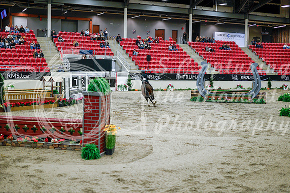 2025 - Haylee - Royal West - Tuesday October 21st - 09269