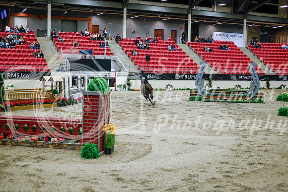 2025 - Haylee - Royal West - Tuesday October 21st - 09270