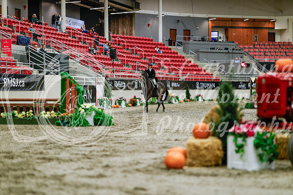 2025 - Haylee - Royal West - Tuesday October 21st - 04384
