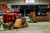 2025 - Haylee - Royal West - Tuesday October 21st - 04397