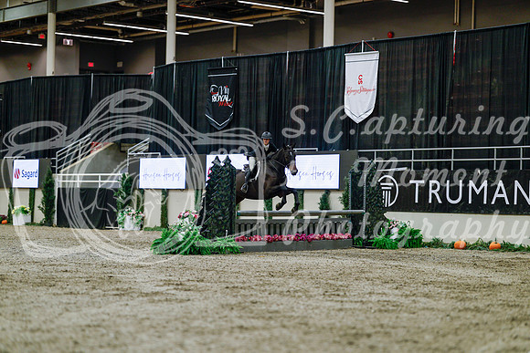 2025 - Haylee - Royal West - Tuesday October 21st - 04408
