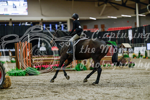 2025 - Haylee - Royal West - Tuesday October 21st - 04414