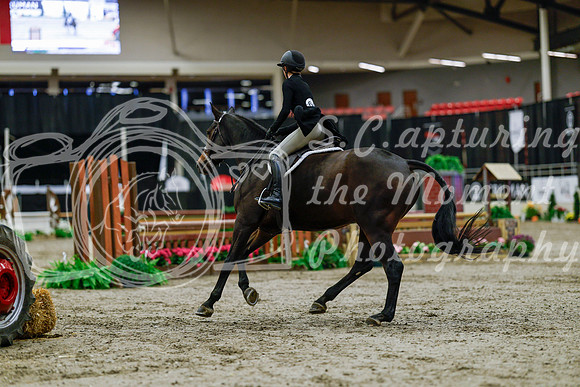 2025 - Haylee - Royal West - Tuesday October 21st - 04415