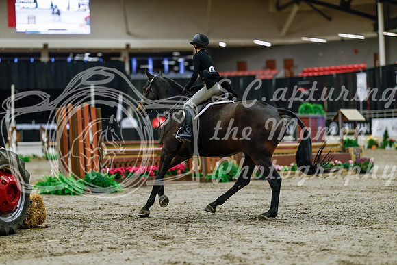 2025 - Haylee - Royal West - Tuesday October 21st - 04416