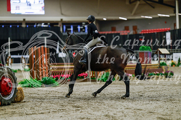 2025 - Haylee - Royal West - Tuesday October 21st - 04417