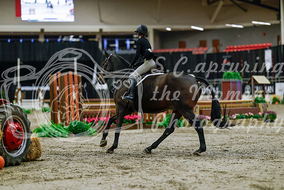 2025 - Haylee - Royal West - Tuesday October 21st - 04418