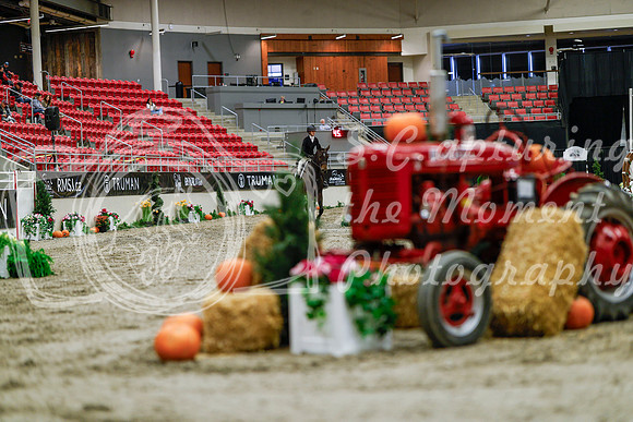 2025 - Haylee - Royal West - Tuesday October 21st - 04419
