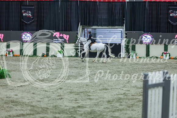2025 - Shea - Royal West - Tuesday October 21st - 06708