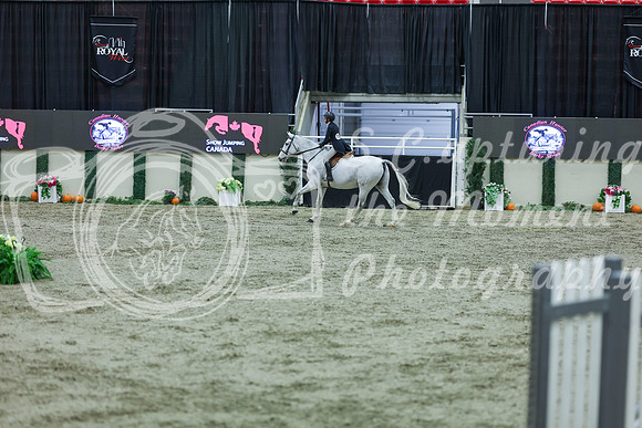 2025 - Shea - Royal West - Tuesday October 21st - 06709