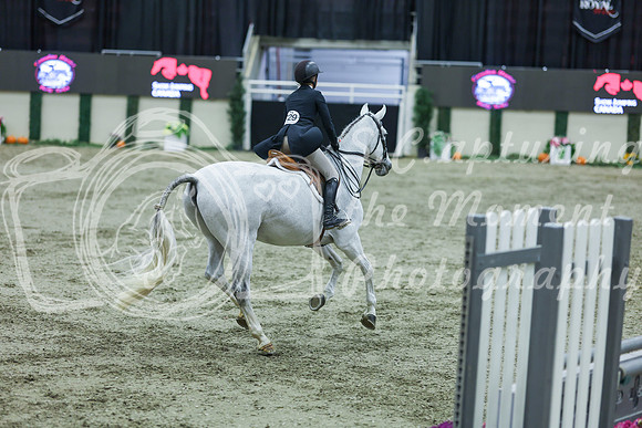 2025 - Shea - Royal West - Tuesday October 21st - 06719