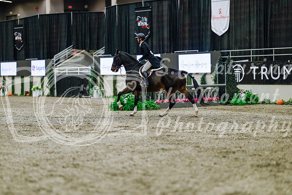 2025 - Haylee - Royal West - Tuesday October 21st - 04193