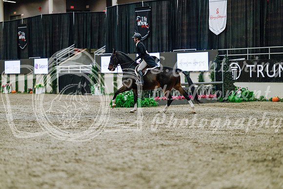 2025 - Haylee - Royal West - Tuesday October 21st - 04194