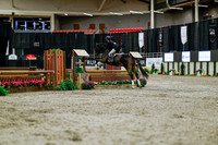 2025 - Haylee - Royal West - Tuesday October 21st - 04200