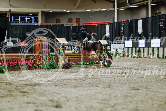 2025 - Haylee - Royal West - Tuesday October 21st - 04200