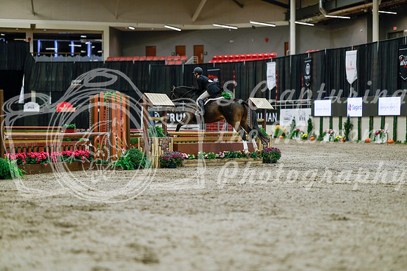 2025 - Haylee - Royal West - Tuesday October 21st - 04203