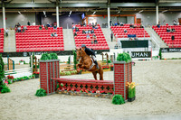 2025 - Haylee - Royal West - Tuesday October 21st - 08357