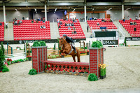 2025 - Haylee - Royal West - Tuesday October 21st - 08358