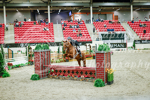 2025 - Haylee - Royal West - Tuesday October 21st - 08358