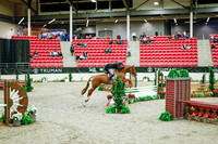 2025 - Haylee - Royal West - Tuesday October 21st - 08370