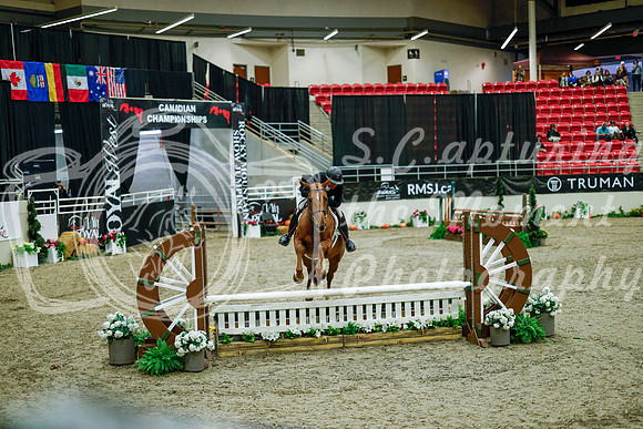 2025 - Haylee - Royal West - Tuesday October 21st - 08376