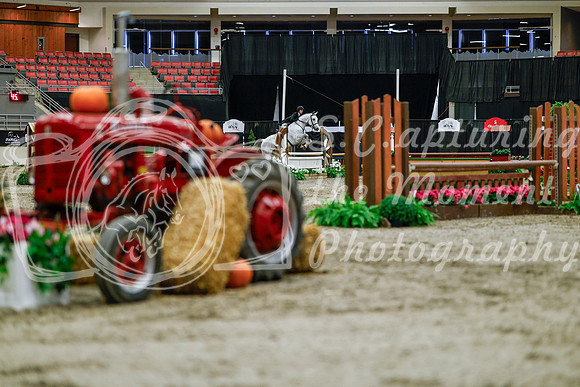 2025 - Haylee - Royal West - Tuesday October 21st - 04679