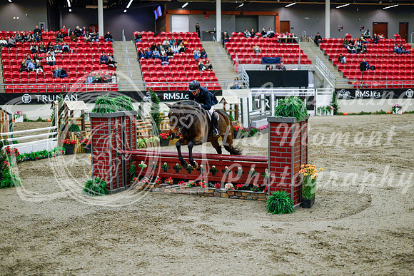 2025 - Haylee - Royal West - Tuesday October 21st - 09641