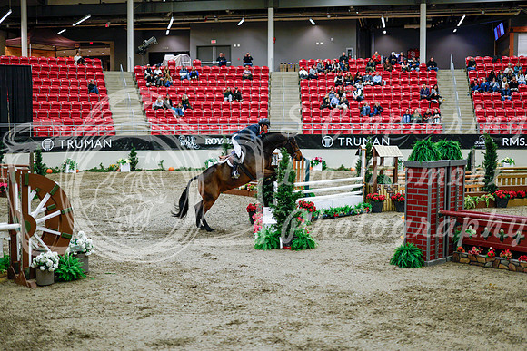 2025 - Haylee - Royal West - Tuesday October 21st - 09650