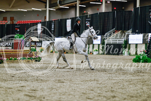 2025 - Haylee - Royal West - Tuesday October 21st - 04713