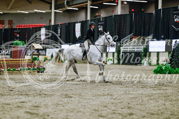 2025 - Haylee - Royal West - Tuesday October 21st - 04714