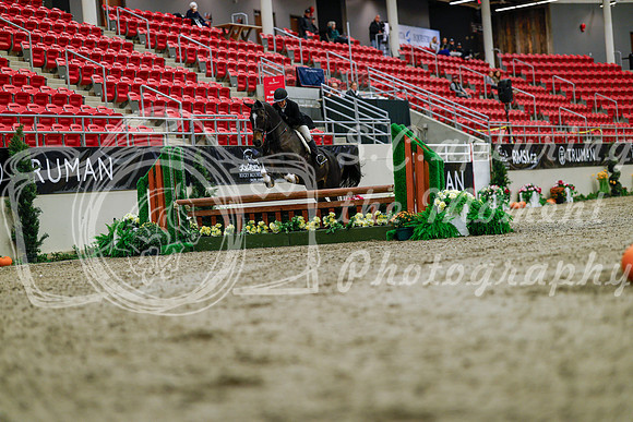 2025 - Haylee - Royal West - Tuesday October 21st - 03636