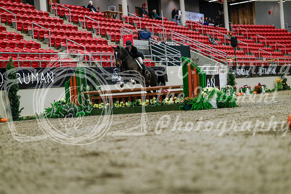 2025 - Haylee - Royal West - Tuesday October 21st - 03637