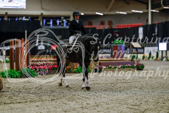 2025 - Haylee - Royal West - Tuesday October 21st - 03641