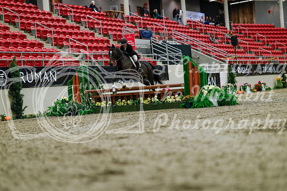 2025 - Haylee - Royal West - Tuesday October 21st - 03640