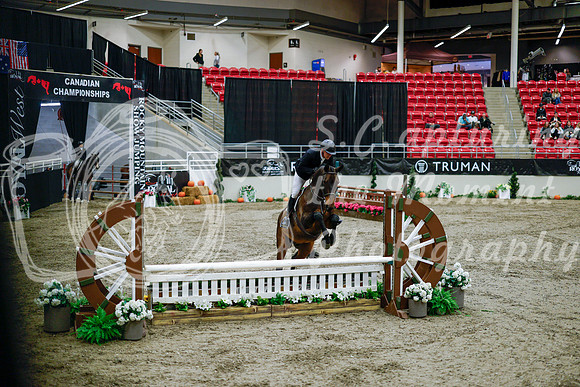 2025 - Haylee - Royal West - Tuesday October 21st - 08592