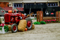 2025 - Haylee - Royal West - Tuesday October 21st - 03839