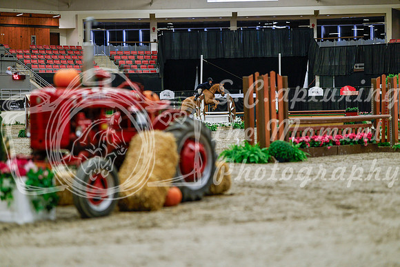 2025 - Haylee - Royal West - Tuesday October 21st - 03839
