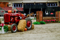 2025 - Haylee - Royal West - Tuesday October 21st - 03840