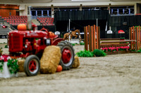 2025 - Haylee - Royal West - Tuesday October 21st - 03841