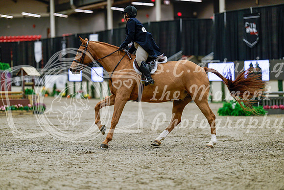 2025 - Haylee - Royal West - Tuesday October 21st - 03856