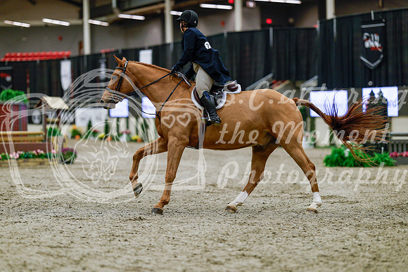 2025 - Haylee - Royal West - Tuesday October 21st - 03857