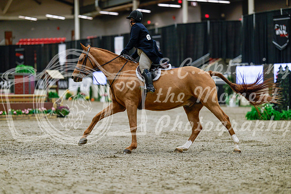 2025 - Haylee - Royal West - Tuesday October 21st - 03859